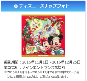 東京ディズニーランド シー ダッフィー 16年クリスマス限定スナップフォト みーたん主婦のコスパ大好き日記